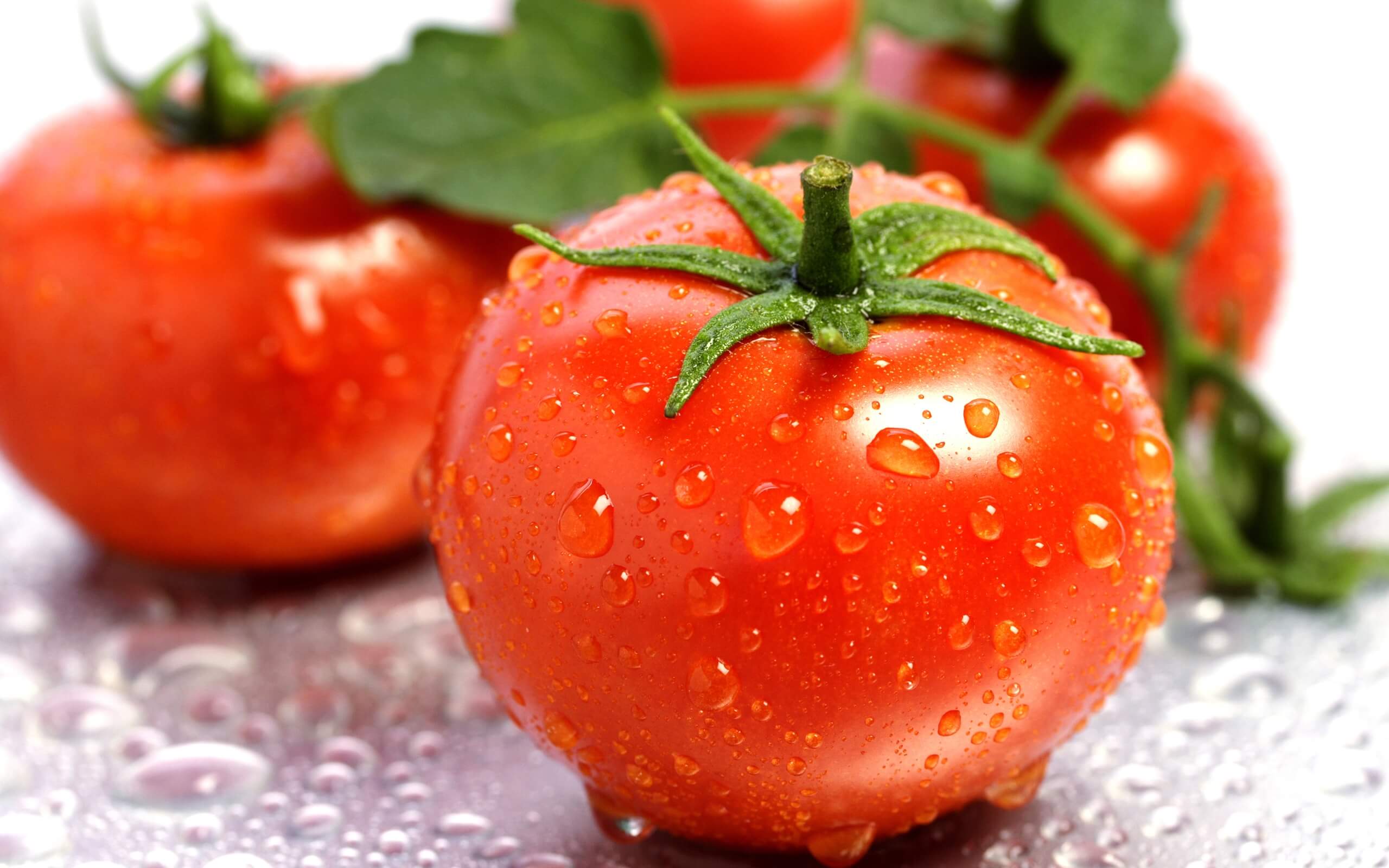 Cà chua xuất hiện trong mọi bữa ăn
